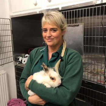 Abbey Veterinary Group Chellaston - Veterinarians Near Me - Derby, DER