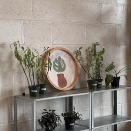 Cute decor in the coffee shop