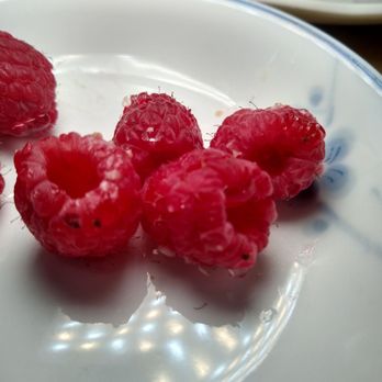 Cafe W Bakery and Desserts - Black spots of Mold on raspberries - Cafes Near Me - Flushing, New York Cafe W Bakery and Desserts - Black spots of Mold on raspberries - Cafes Near Me - Flushing, New York