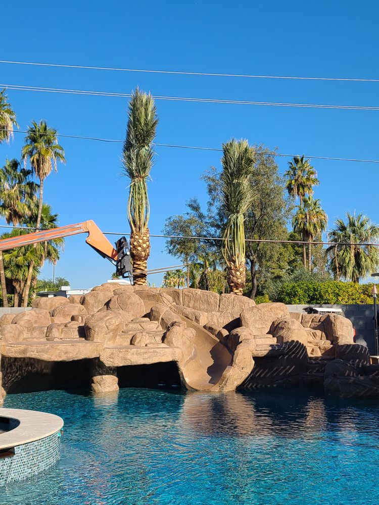 Outdoor Solutions - tree service in Mesa, AZ