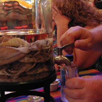 Pancho's & Tequila Bar - Rattlesnake tequila - Mexican Near Me - Cabo San Lucas, BCS Pancho's & Tequila Bar - Rattlesnake tequila - Mexican Near Me - Cabo San Lucas, BCS