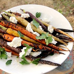 Maria Vieages - Charred baby carrots, Laura Chenel chevre, Sonoma honey