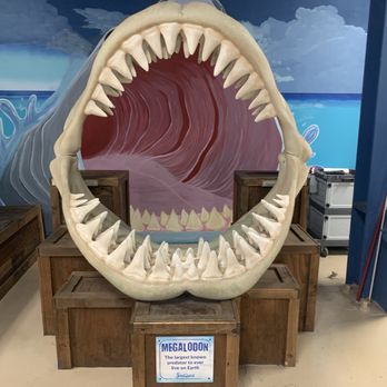 SeaQuest - Folsom - Aquariums Near Me - Folsom, California SeaQuest - Folsom - Aquariums Near Me - Folsom, California