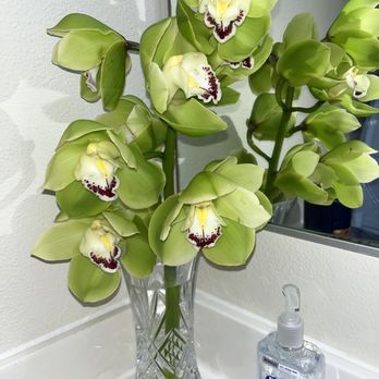 Watanabe Floral - This time I purchased a single stalk of vibrant cymbidium orchids and placed them in a vase in my downstairs powder room. - Florists Near Me - Honolulu, Hawaii Watanabe Floral - This time I purchased a single stalk of vibrant cymbidium orchids and placed them in a vase in my downstairs powder room. - Florists Near Me - Honolulu, Hawaii