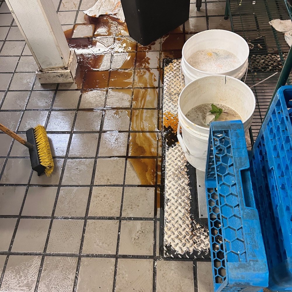 Squid Ink Eclectic Eats & Drinks - Grease trap over filling because they would never get it emptied - Gastropubs Near Me - Mobile, Alabama Squid Ink Eclectic Eats & Drinks - Grease trap over filling because they would never get it emptied - Gastropubs Near Me - Mobile, Alabama