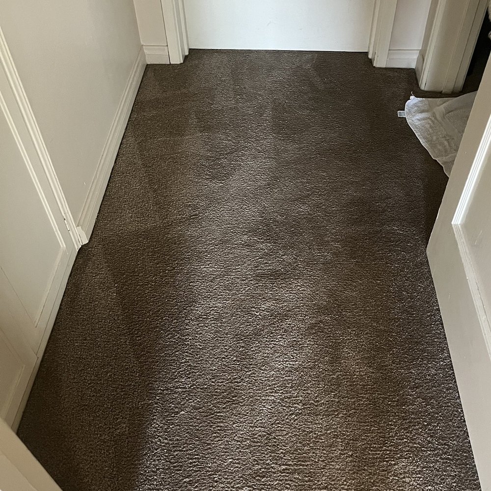 Mr Felix Carpet Care - AFTER!! - Carpet Cleaning Near Me - Downey, California Mr Felix Carpet Care - AFTER!! - Carpet Cleaning Near Me - Downey, California