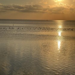 Laguna Madre Nature Trail