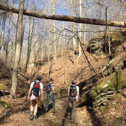 Morgan-Monroe State Forest