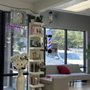 Photo of Chavitos Barber & Beauty