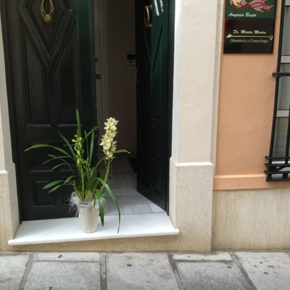 THE BEST 10 OBSTETRICIANS & GYNECOLOGISTS near SAN LUIS DE SABINILLAS,  MÁLAGA, SPAIN - Updated 2025 - Hours - Yelp