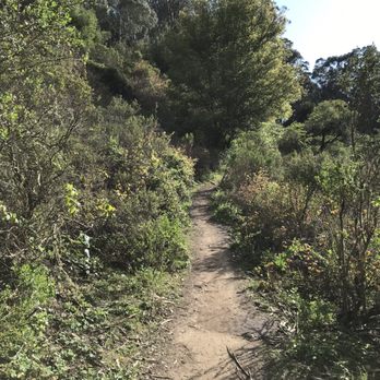 Seaview Trail At Inspiration Point - Hiking Near Me - Berkeley, California Seaview Trail At Inspiration Point - Hiking Near Me - Berkeley, California