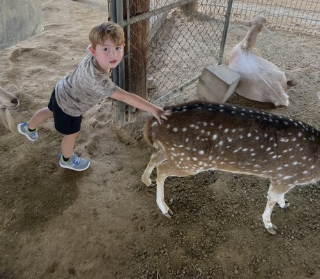 Wildlife World Zoo, Aquarium & Safari Park by null