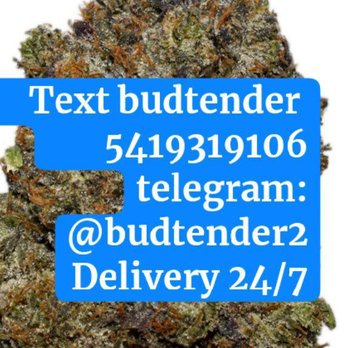 Grow Depot - Cannabis Dispensaries Near Me - Charlottesville, Virginia Grow Depot - Cannabis Dispensaries Near Me - Charlottesville, Virginia