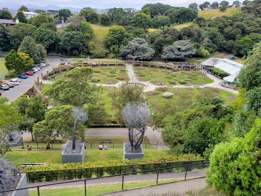 Wellington Botanic Garden by null