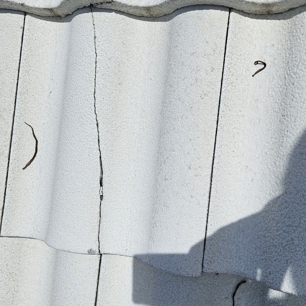 On Demand Pest Control - Pest Control Near Me - Davie, Florida