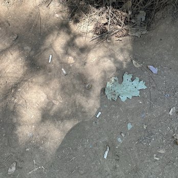 Deer Creek Tribute Trail - Seriously folks!?! Smoking in a forest???? - Hiking Near Me - Nevada City, California