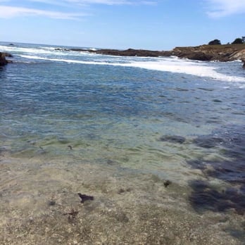 Bean Hollow State Beach - Beaches Near Me - Pescadero, California