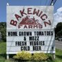 Photo of The Silo at Bakewicz Farm