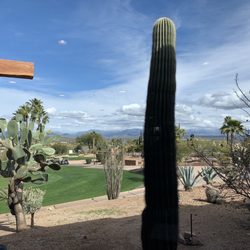 Desert Canyon Golf Club - Snowcapped mountain view from The Grill 2/9/24
