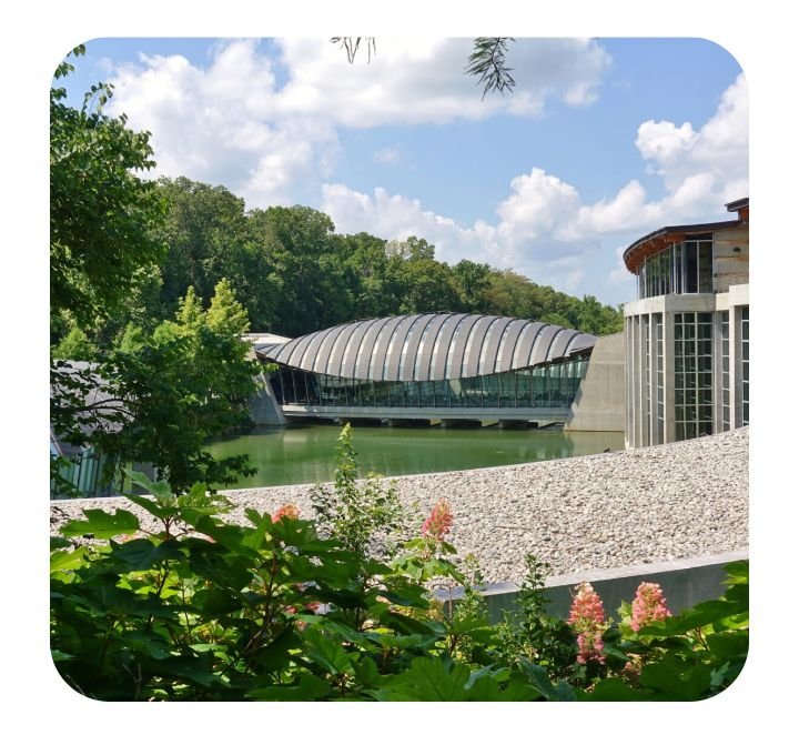 Alice L Walton School - social services organization in Bentonville, AR