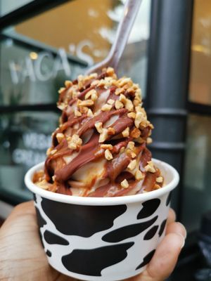 Vaca’s Creamery by null