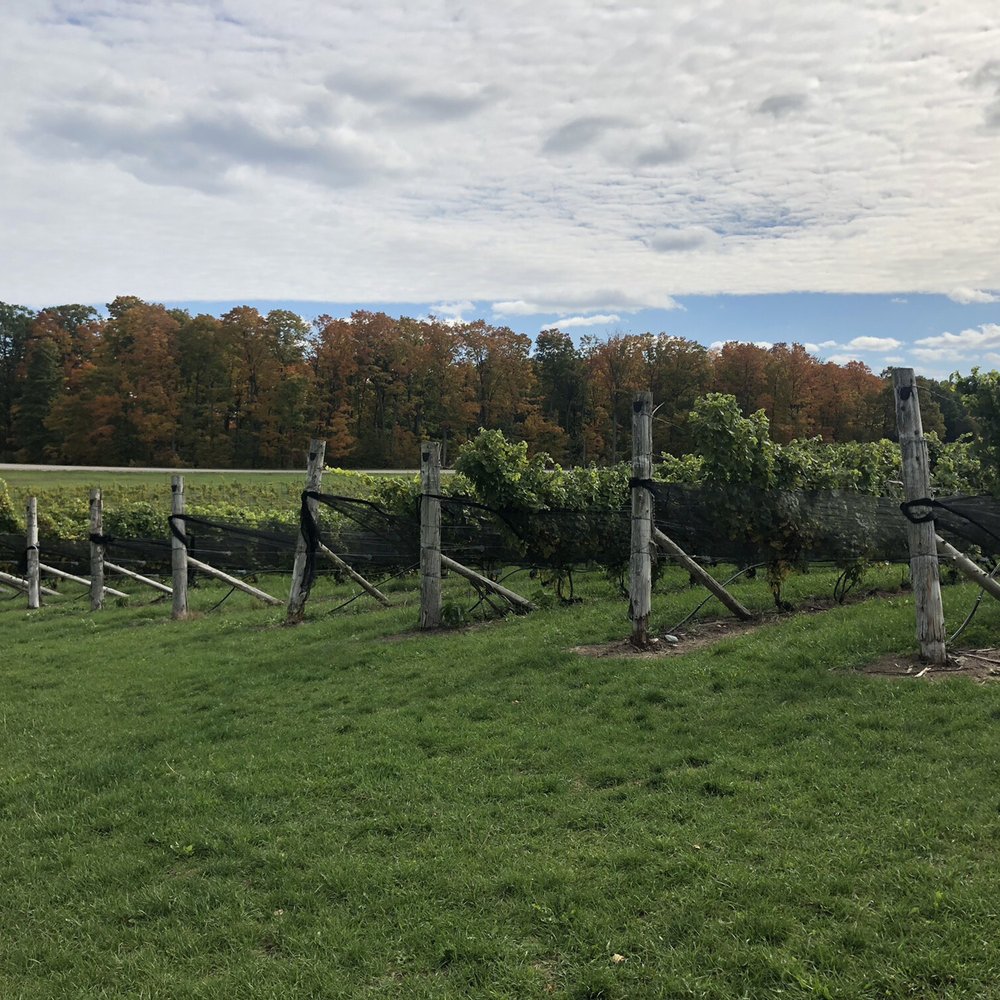 Grand Traverse Tours - Wine Tours Near Me - Traverse City, Michigan