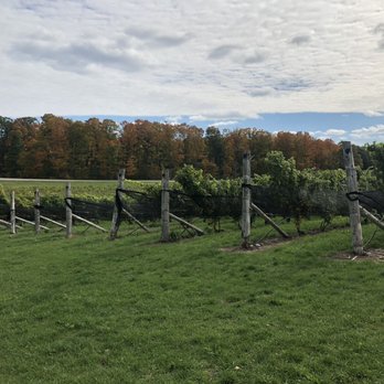 Grand Traverse Tours - Wine Tours Near Me - Traverse City, Michigan