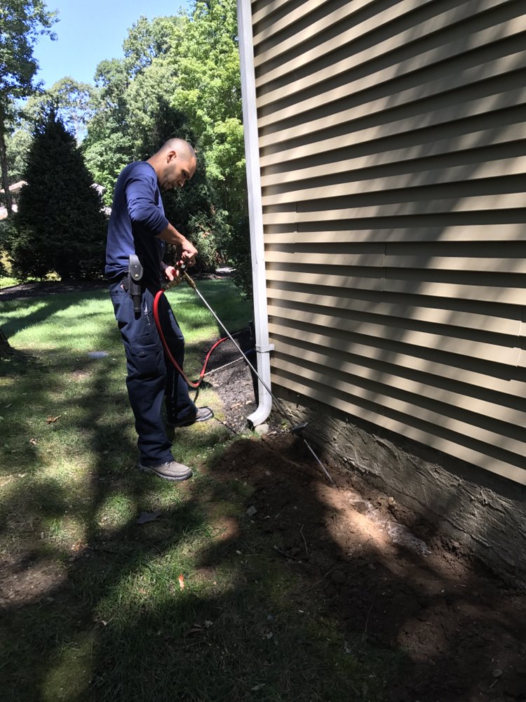 BUZZKILL PEST CONTROL Updated September 2024 Queens, New York Pest Control Phone Number