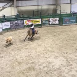 Talbert Performance Horses