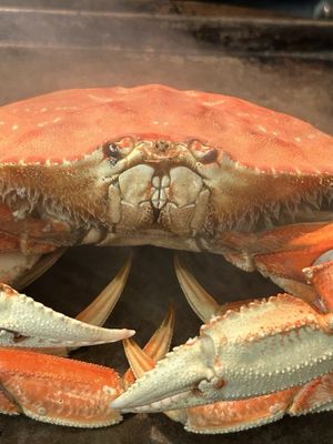 Hashi Market by null