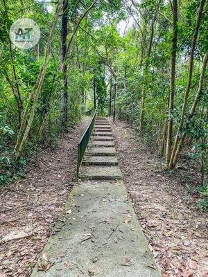 Henderson Waves by null
