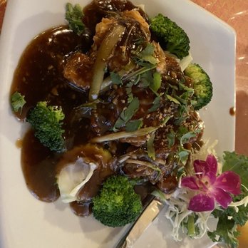 Thai Orchid Restaurant - Thai Near Me - Kenneth City, Florida Thai Orchid Restaurant - Thai Near Me - Kenneth City, Florida