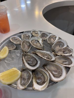 W. H. Stiles Fish Camp by null