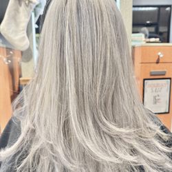 Salon Evolve