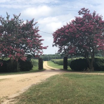 Basket & Bike - Bike tours Near Me