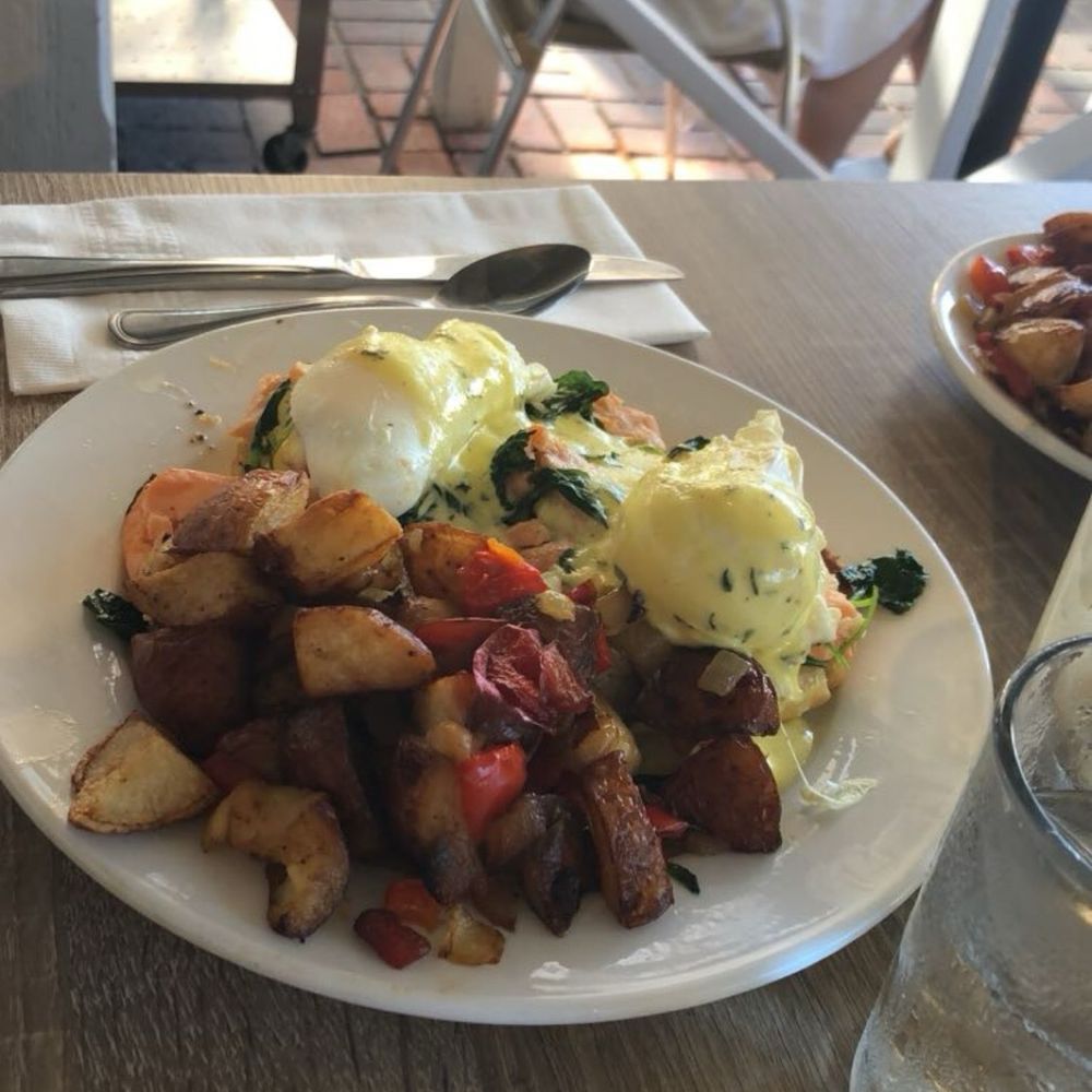 Shorehouse Kitchen - Coffee & Tea Near Me - La Jolla, California Shorehouse Kitchen - Coffee & Tea Near Me - La Jolla, California