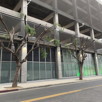 McDonald's - City owned Trees which are on DeLongre, around the corner from McDonald's on 1413 Vine Street in Hollywood.  They were butchered :( - Fast Food Near Me - Hollywood, California