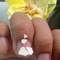 McDonald's - Some of the egg shells inside of the sausage egg and cheese McMuffin