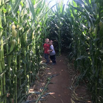 Sloughhouse Corn - Fruits & Veggies Near Me - Sloughhouse, California Sloughhouse Corn - Fruits & Veggies Near Me - Sloughhouse, California