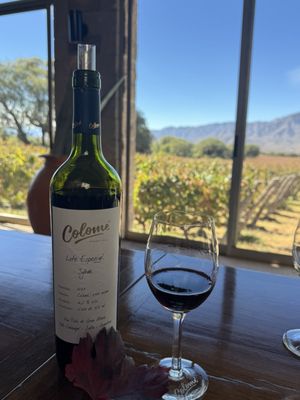 Colomé Winery by null
