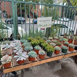 Norens Nursery