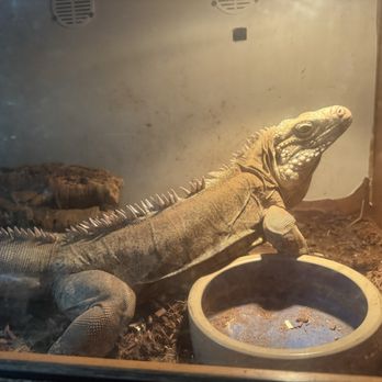 JTK Reptiles - Reptile Shops Near Me - Long Beach, California JTK Reptiles - Reptile Shops Near Me - Long Beach, California