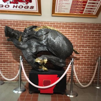 Bud Walton Arena - The hog - Stadiums & Arenas Near Me - Fayetteville, Arkansas Bud Walton Arena - The hog - Stadiums & Arenas Near Me - Fayetteville, Arkansas