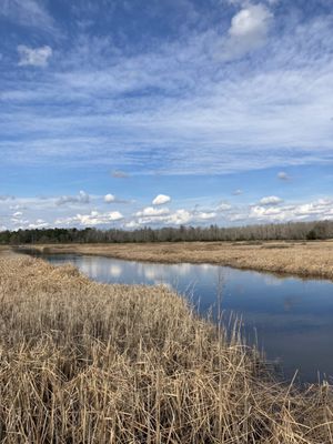 Caw Caw Interpretive Center by null