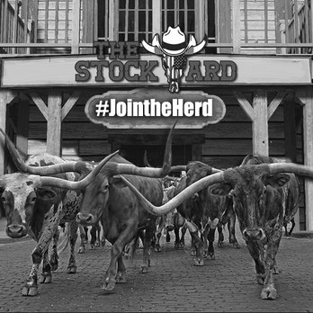 The Stockyard - Bars Near Me - Holiday, Florida