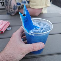 The Chill Out - Shark attack