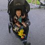 Photo of Fit4Mom Twin Cities