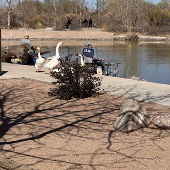 Tingley Beach - Beaches Near Me - Albuquerque, New Mexico