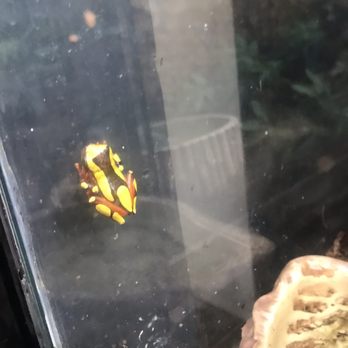 East Bay Vivarium - Reptile Shops Near Me - Berkeley, California