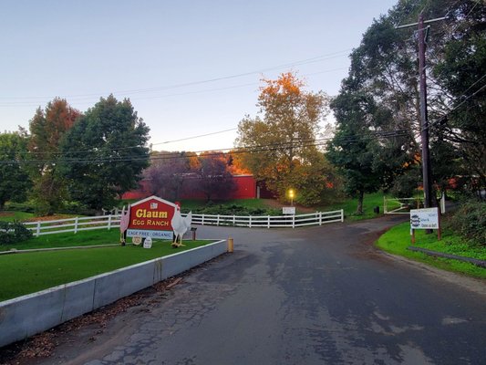 Glaum Egg Ranch by null